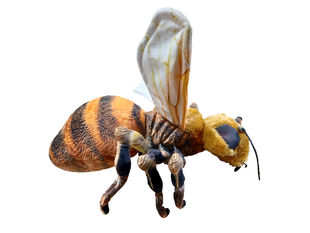 Bee 14