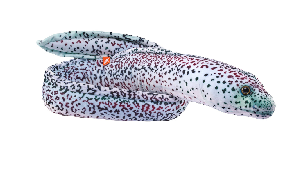 Eel Moray Peppered Stuffed Animal 54