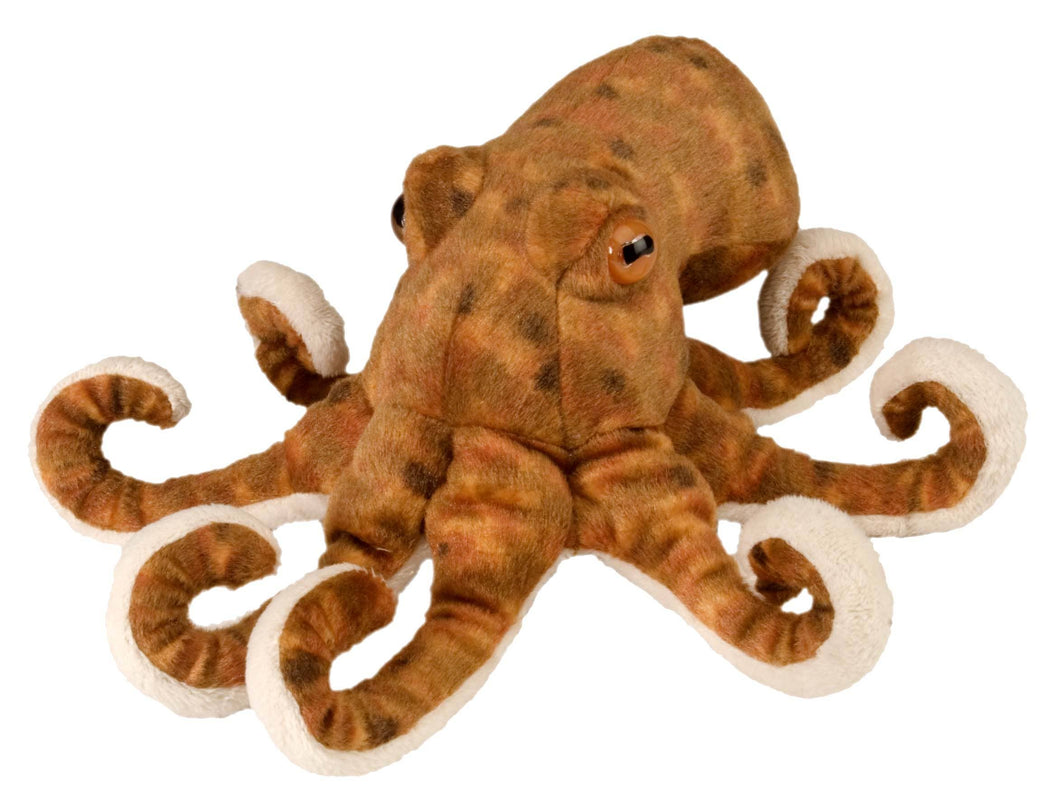 CK-Mini Octopus Stuffed Animal 8