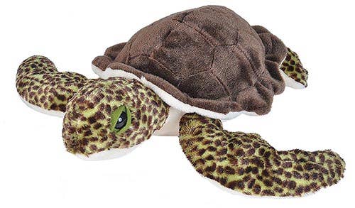 CK Green Sea Turtle Stuffed Animal 12