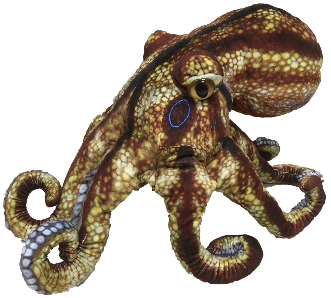 Octopus Aquatic Ocean Plush 10